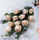  1 Dozen Roses