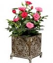 4-inch Rose in Antique Tin