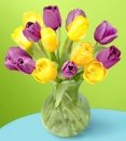 Lavender and Yellow Tulip in a vase