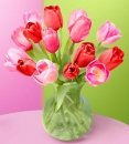 Mixed Pink Tulip in Vase