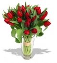 Hello, Ruby tulips