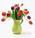 Mixed Tulip Collection