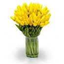 Yellow Tulip in Vase