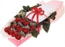 Red Rose in Box