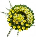 Circle of Sunshine