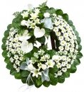 Sentiments of Serenity Spray