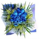 Blue Danube