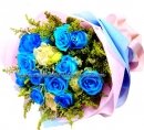 Bluebelles