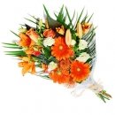 Outstanding Orange!