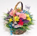Different Flowers