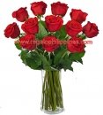 1 Dozen Long Stem Red Roses - VASE INCLUDED