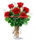 6 Pcs Rose In vase