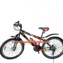 Tobys Evolution Sports Bike