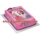 Barbie Castle Picture Cake