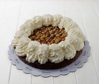 Turtle Pie