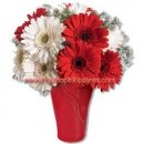 Bright Gerbera