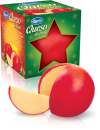 Magnolia Queso de Bola