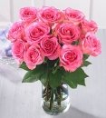 A Pretty Pink Dozen