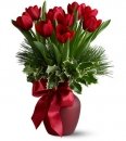 Tulip Tidings