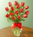 Classic tulip