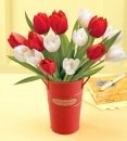 Tulips in French Pail