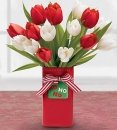 Red and White tulips