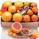 Surprise Gift Box