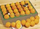2 dozen of juicy oranges