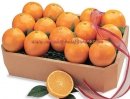  Box of Juicy Orange