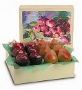 Apples & Pears Holiday Gift Box