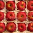 Fuji Apple Gift Box