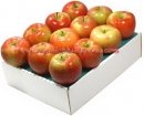 Honey Crisp Snack Pak