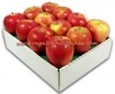 Apple Snack Pak