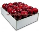 Apples Galore