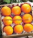 Oranges Fruit Gift