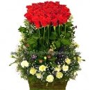 70  Red Rose Basket