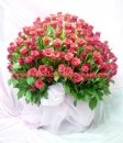 150 Rose Basket