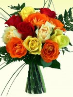 Multi Color Roses