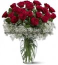 Striking red rose in vase