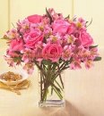 Dreamland Pink Rose