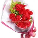 Brilliant carnation bouquet