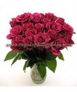 Luxury Red Rose