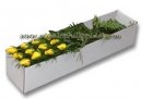 Yellow roses in box