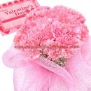 Pink carnation