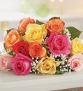 Multicolored Roses
