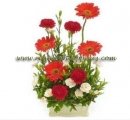 Contemporary Gerbera