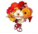 Mixed Gerbera Bouquet