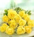 Yellow Rose