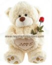 Teddy with Red Rose