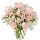 Light Colored Rose